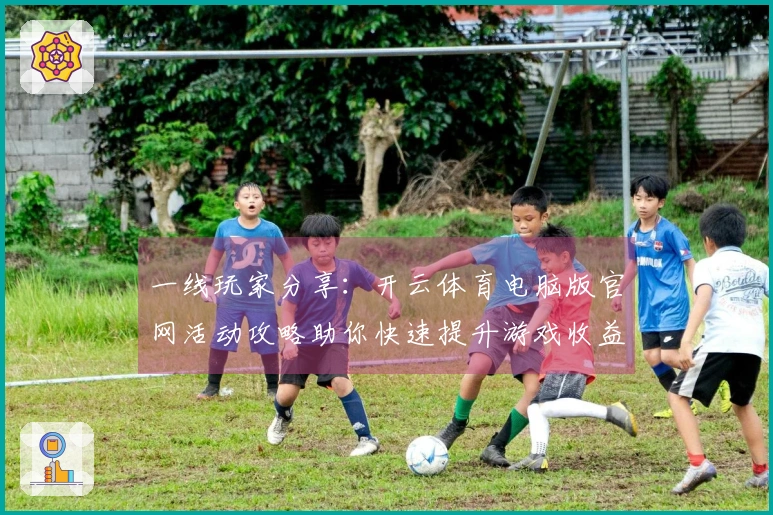 一线玩家分享：开云体育电脑版官网活动攻略助你快速提升游戏收益