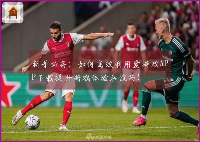 新手必备：如何高效利用爱游戏APP下载提升游戏体验和技巧！